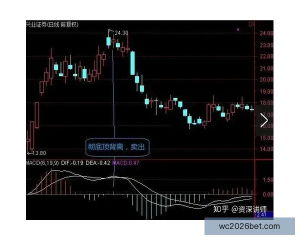 世界杯竞猜赔率平台最新分析预测助您精准把握比赛走势